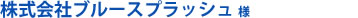 株式会社ブルースプラッシュ